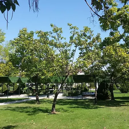 Banos De Ledesma Апартаменты *