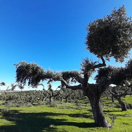 Apartment Banos De Ledesma