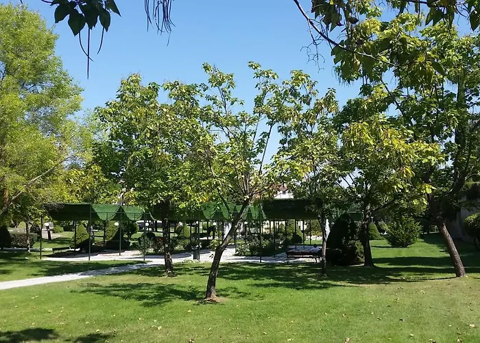 Banos De Ledesma 公寓 *