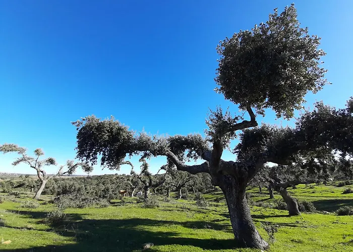 Apartment Banos De Ledesma